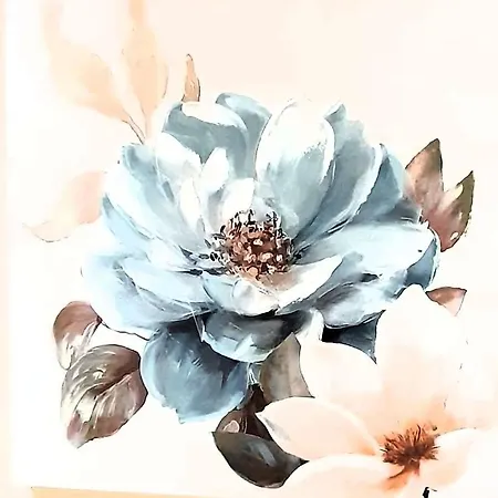 Enviveiro Casco Historico * Viveiro