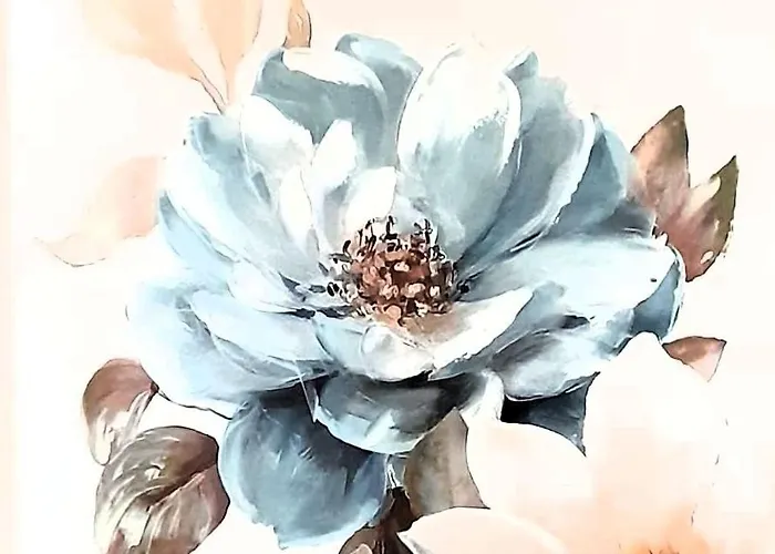 Enviveiro Casco Historico * Viveiro